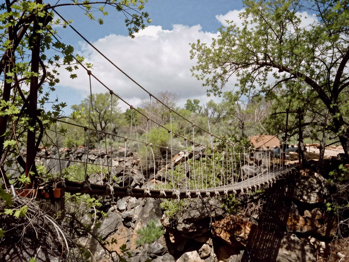 Frayed Rope Bridge Over Gorge in Spring in along a vine-choked corridor in California