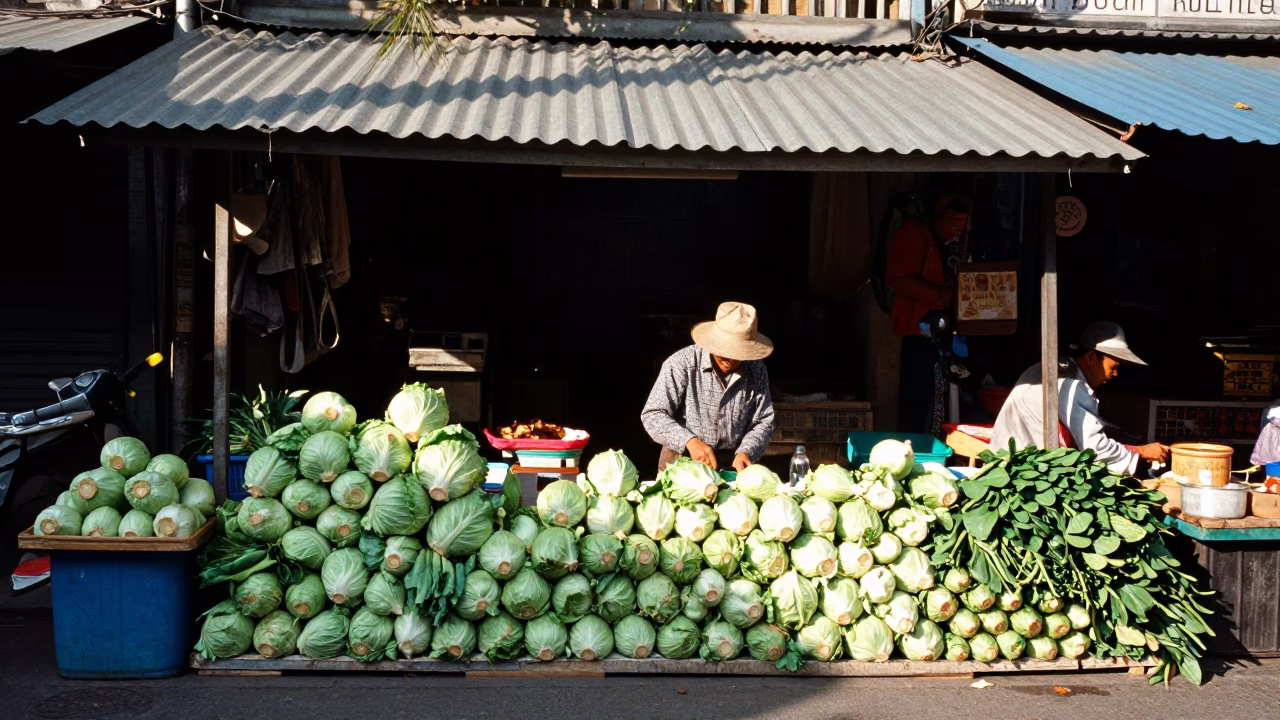 Fresh Cabbages in Hanoi in in Hanoi, Vietnam