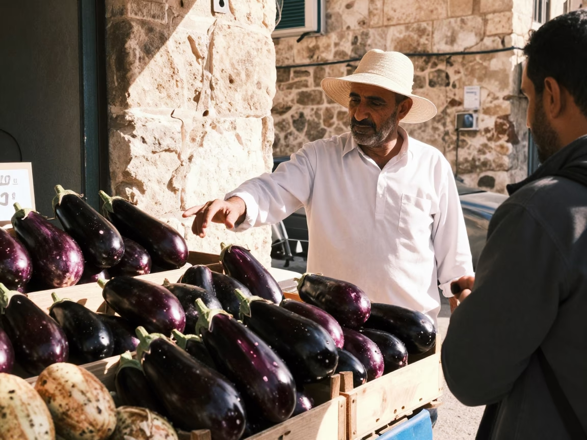 Fresh Eggplants in Amman at The Early Afternoon Light in in Amman, Jordan