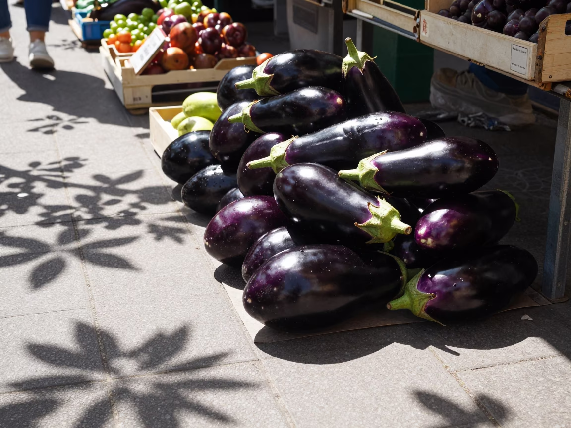 Fresh Eggplants in Paris at The Flat Glare Of Noon Light in in Paris, France