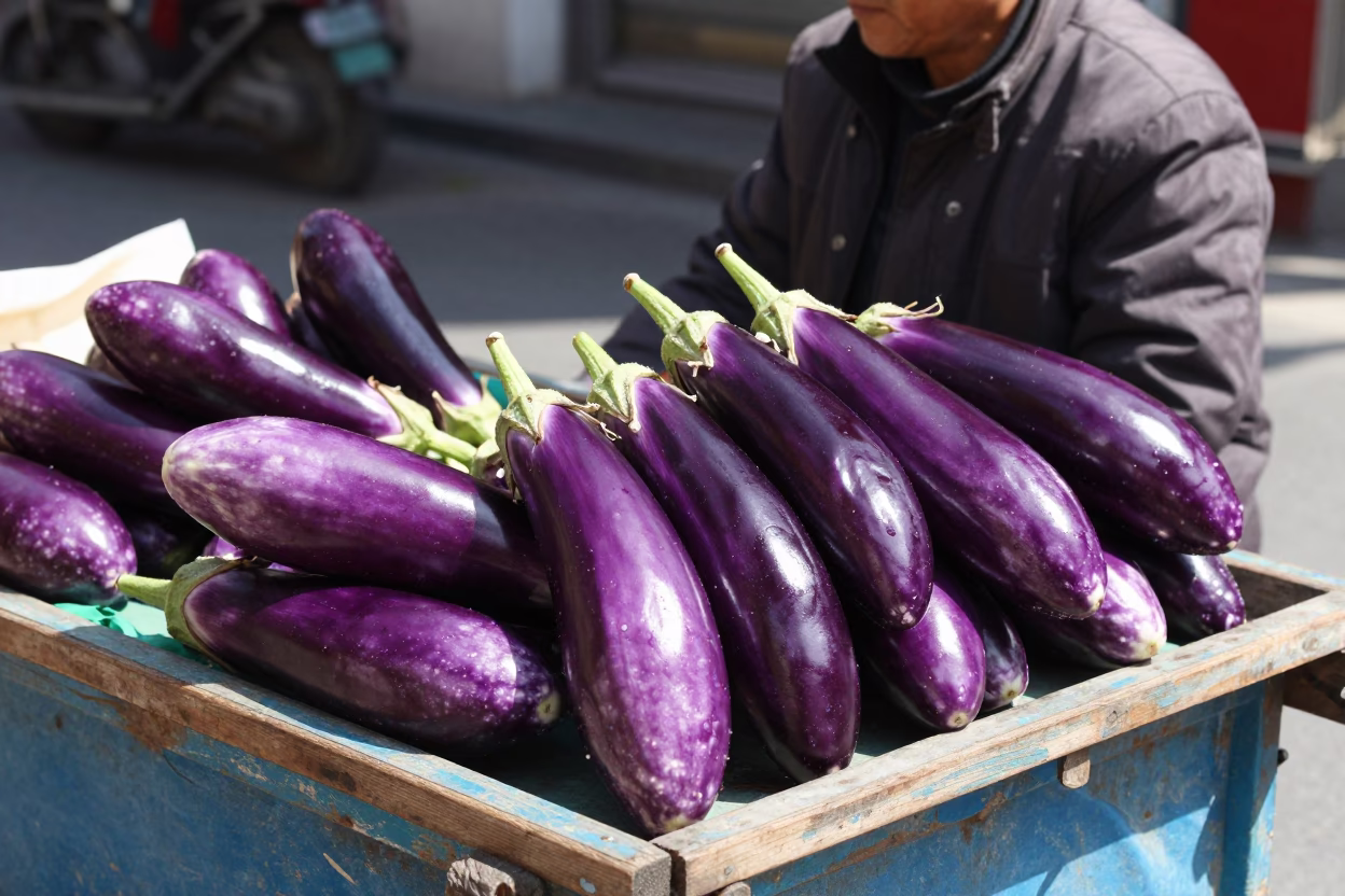 Fresh Eggplants in Shanghai at The Flat Glare Of Noon Light in in Shanghai, China