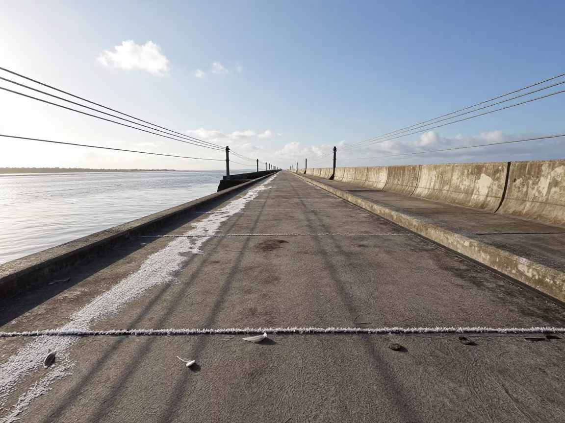 Frost and Feathers on Pará Reservoir Catwalk in beside a storm surge barrier in Pará
