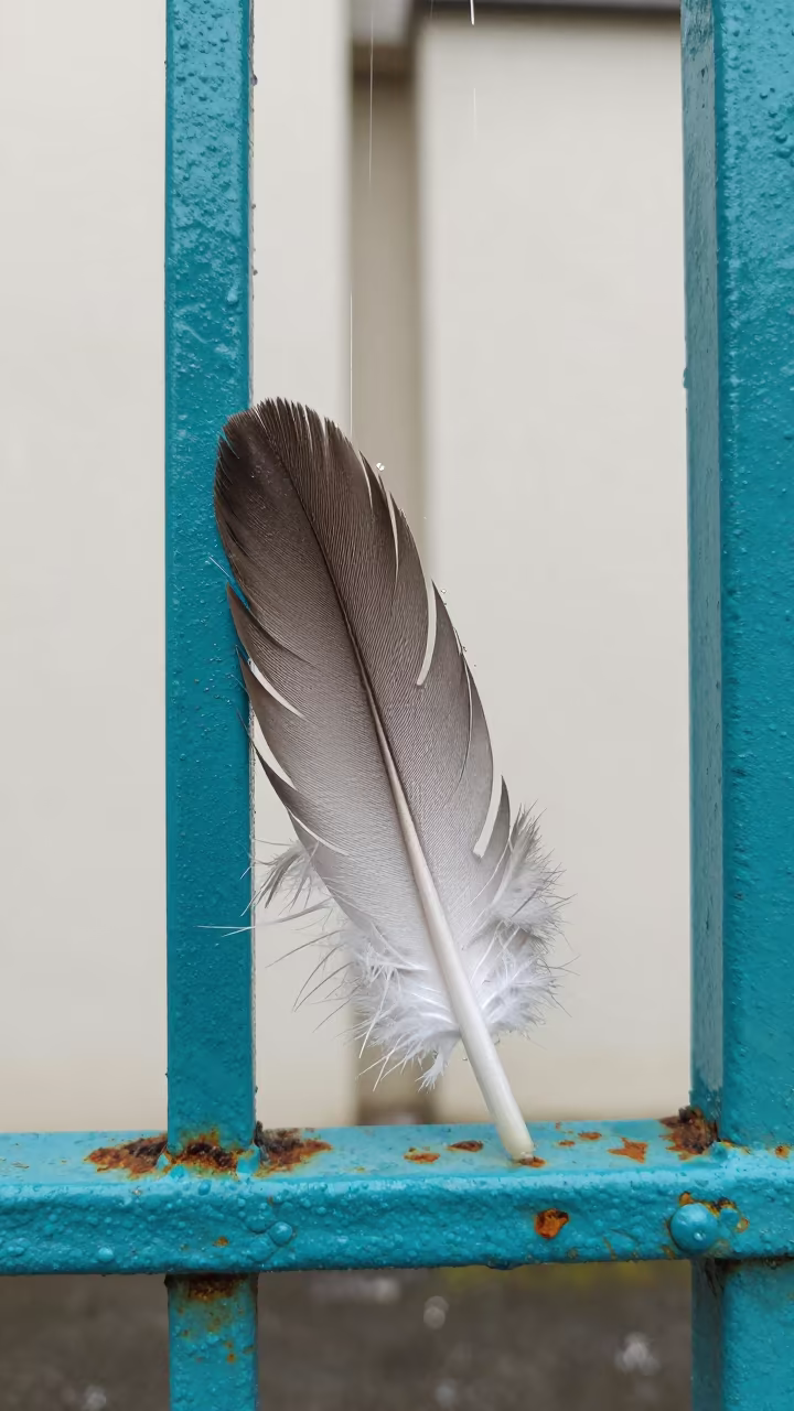 Frost Feathers on Turquoise Steel Gate in against weathered turquoise paint near Okayama