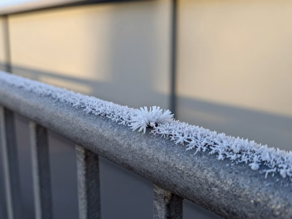 Frost Flower on Helsinki Pier Railing in on a pier railing in Helsinki