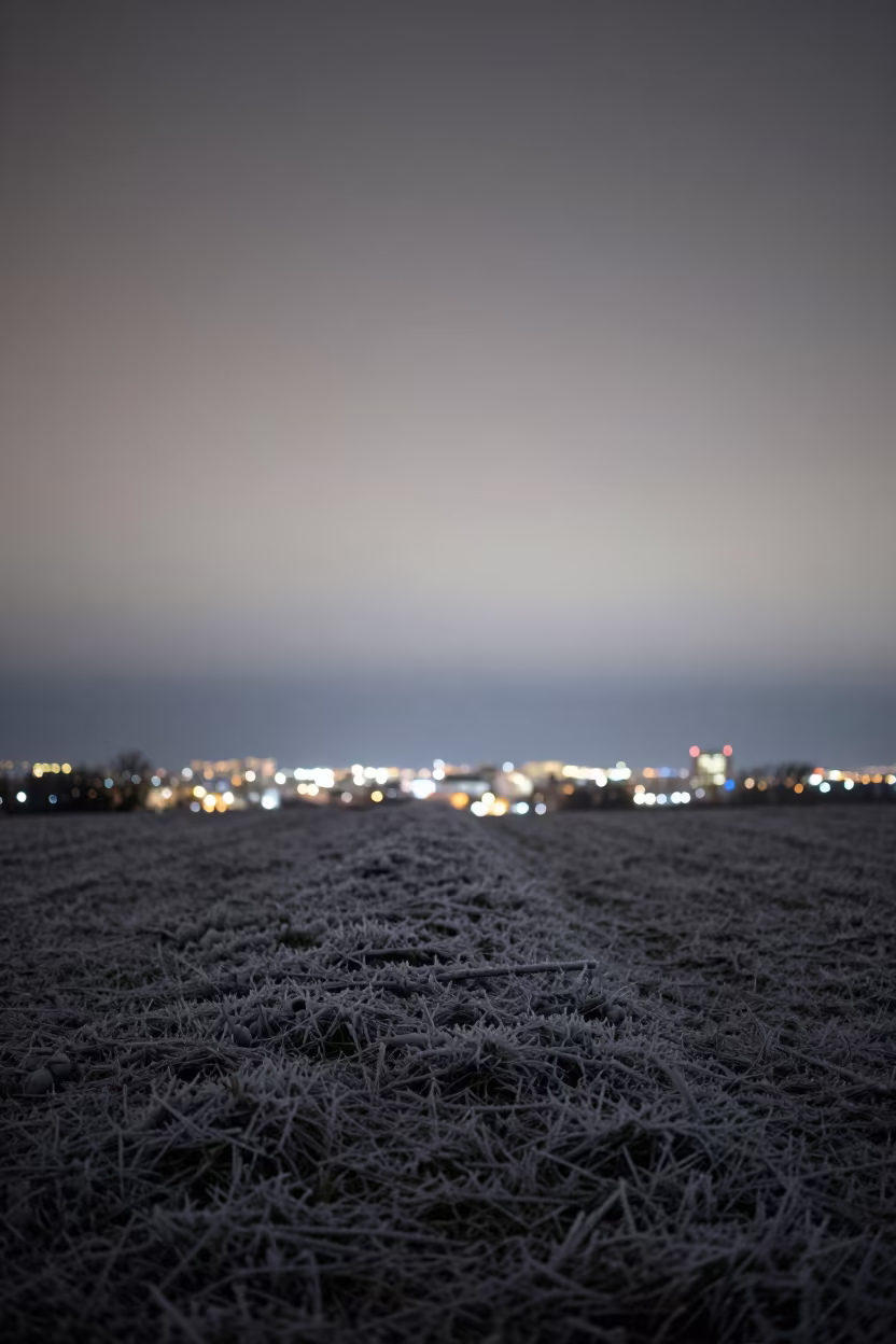 Frost Ridge Rim Light Over Ponce Bokeh in from a frost-hushed ridgeline near Ponce