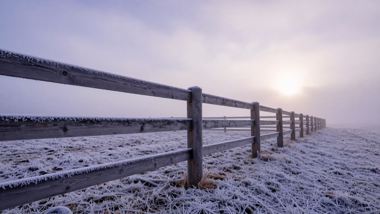 Frost Striped Paddock Fence at Dawn in at a stockyard loading ramp in Alberta