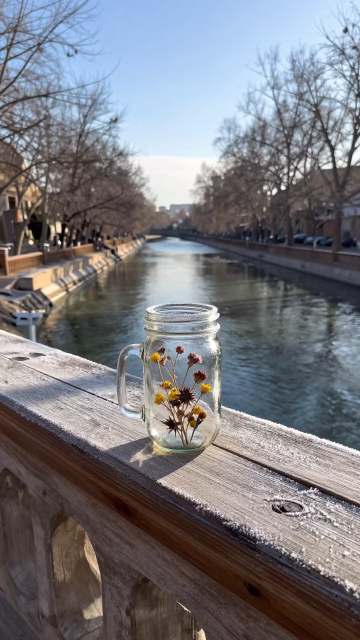 Frost on Wildflowers in Mason Jar Tehran Canal in beside a canal in Tehran