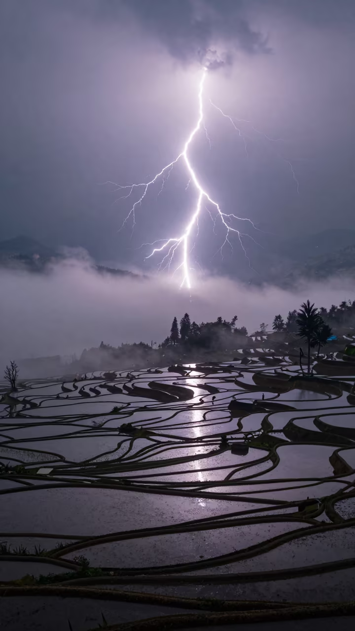Frozen Lightning Over Rice Terraces After Rain in across a floodplain after rain in the Great Barrier Reef