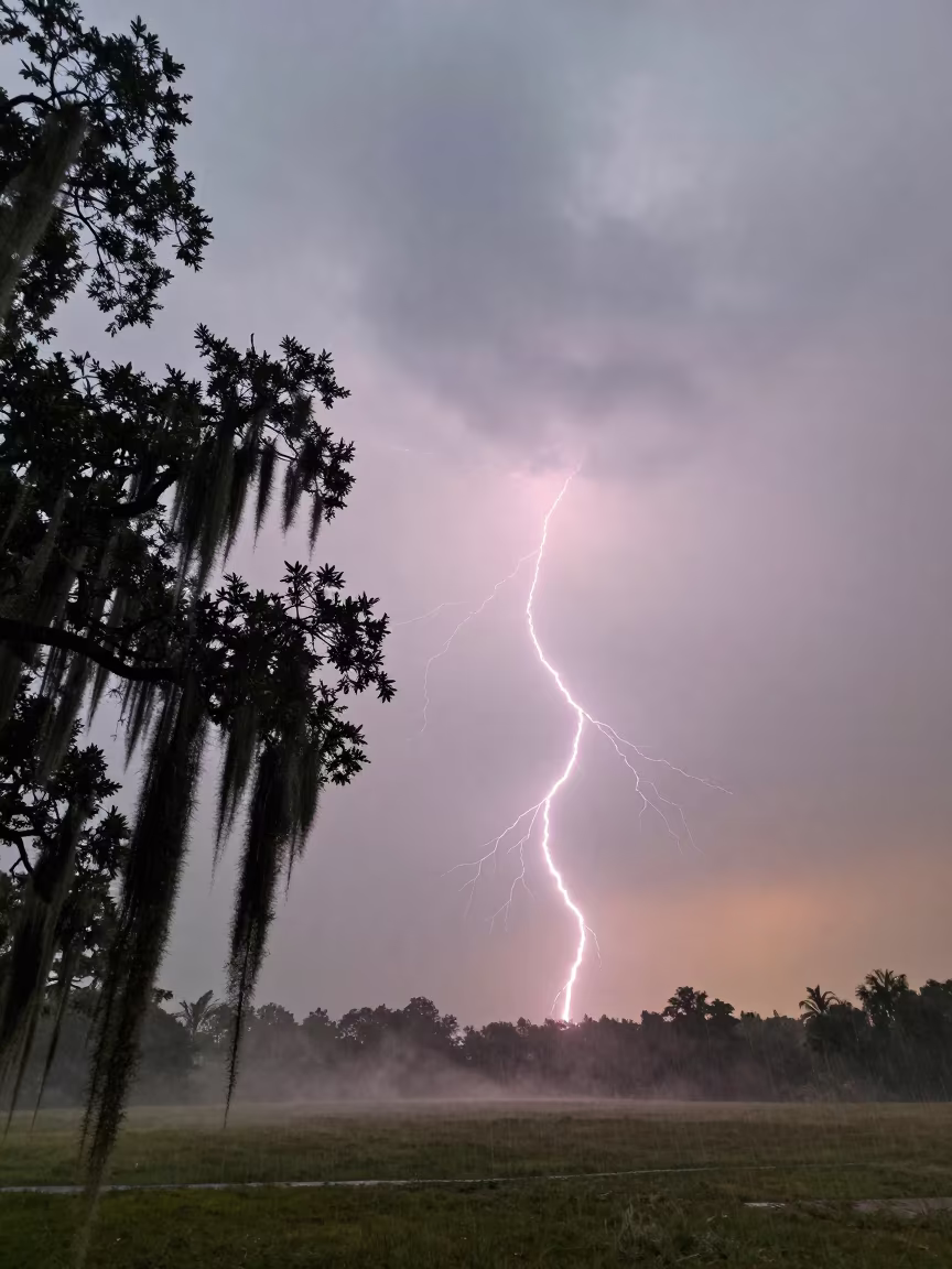 Frozen Lightning Over Spanish Moss and Oak in beneath fast-moving cloud bands near Leme