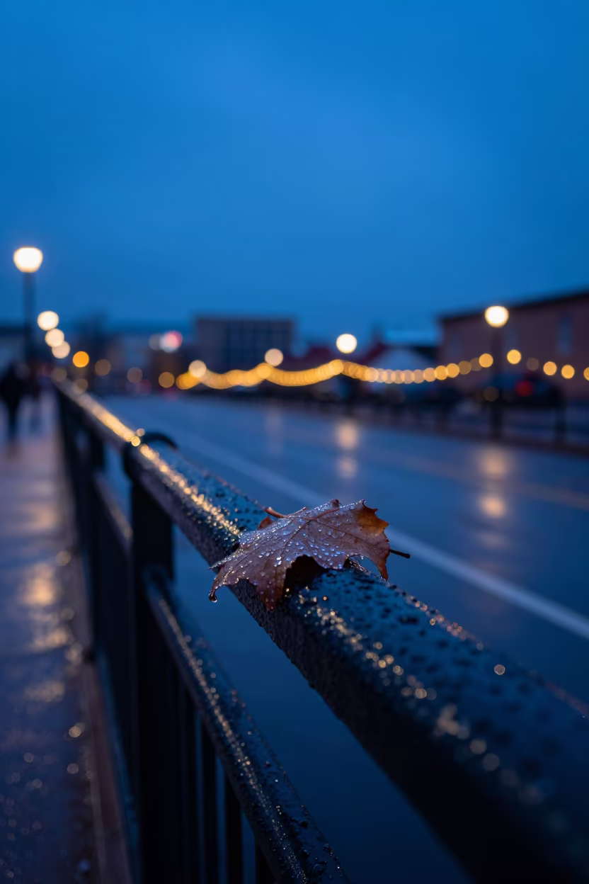 Frozen Rain Droplets on Pier Leaf in Denver in on a pier railing in RiNo, Denver