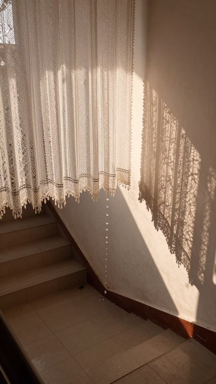 Frozen Water Splash Over Lace Shadows on Stair Hall in inside a tiled stair hall near Bago