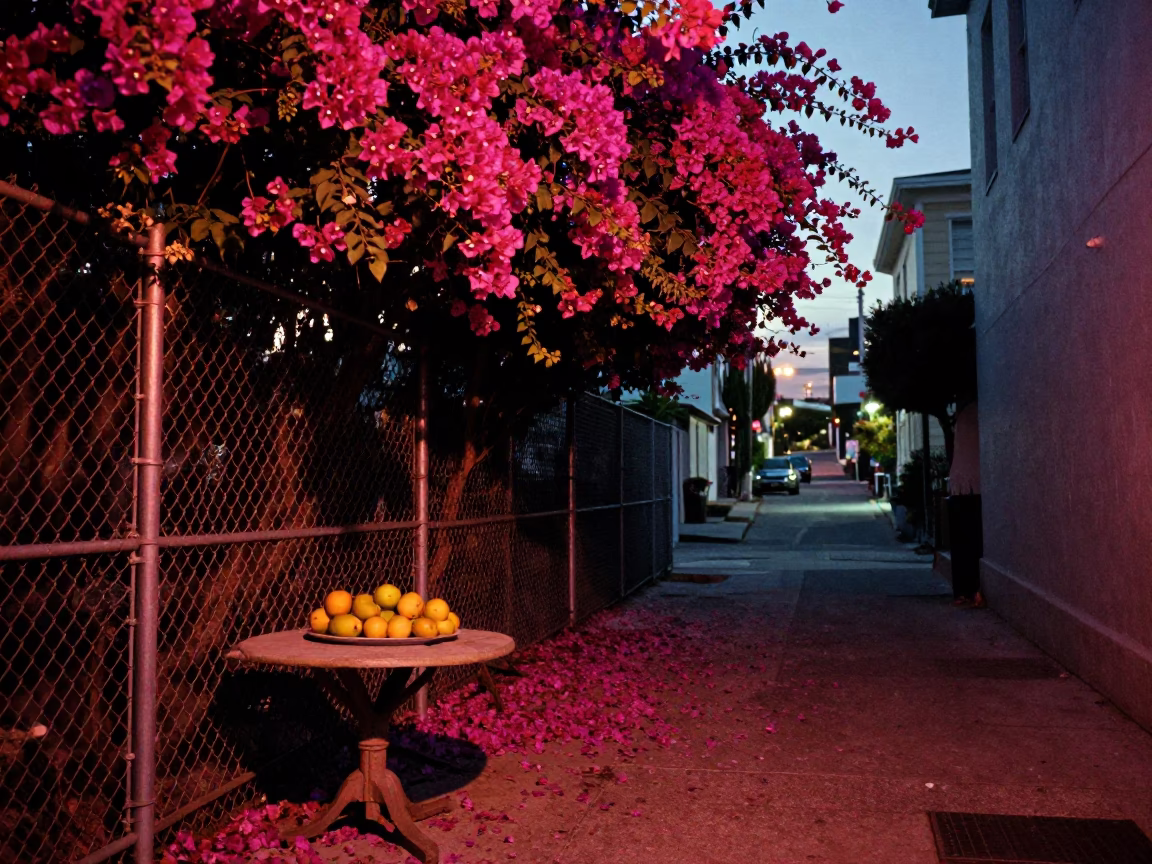 Fruit in San Francisco in in San Francisco, California, United States