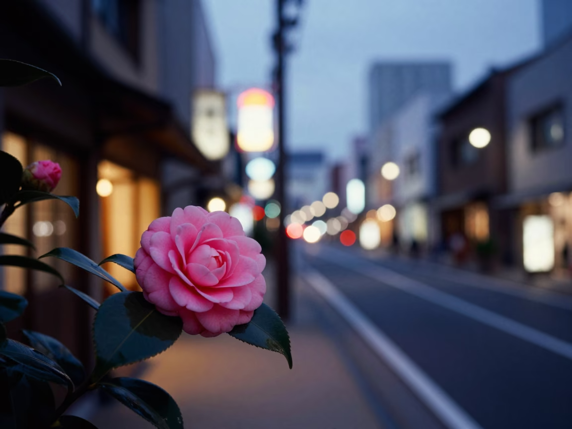 Fukuoka Japan Evening Street Scene with Camellia Blossom and Brushed Steel Detail in in Fukuoka, Japan