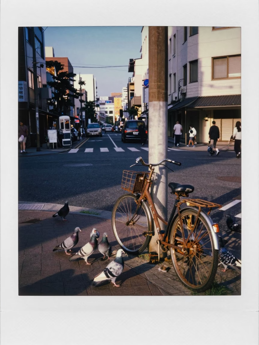Fukuoka Street Corner at Clear Late-afternoon Light in in Fukuoka, Japan