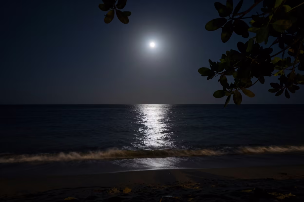 Full Moon Over Calm Florida Ocean Shoreline in along a dark shoreline with tidal glow in Florida