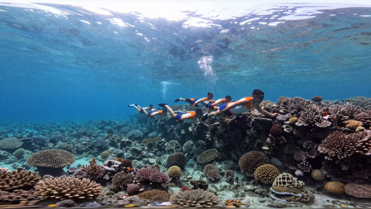 Fusilier School Streaming Along Reef Drop Off Noon in along a coral wall with blue water beyond near Denpasar