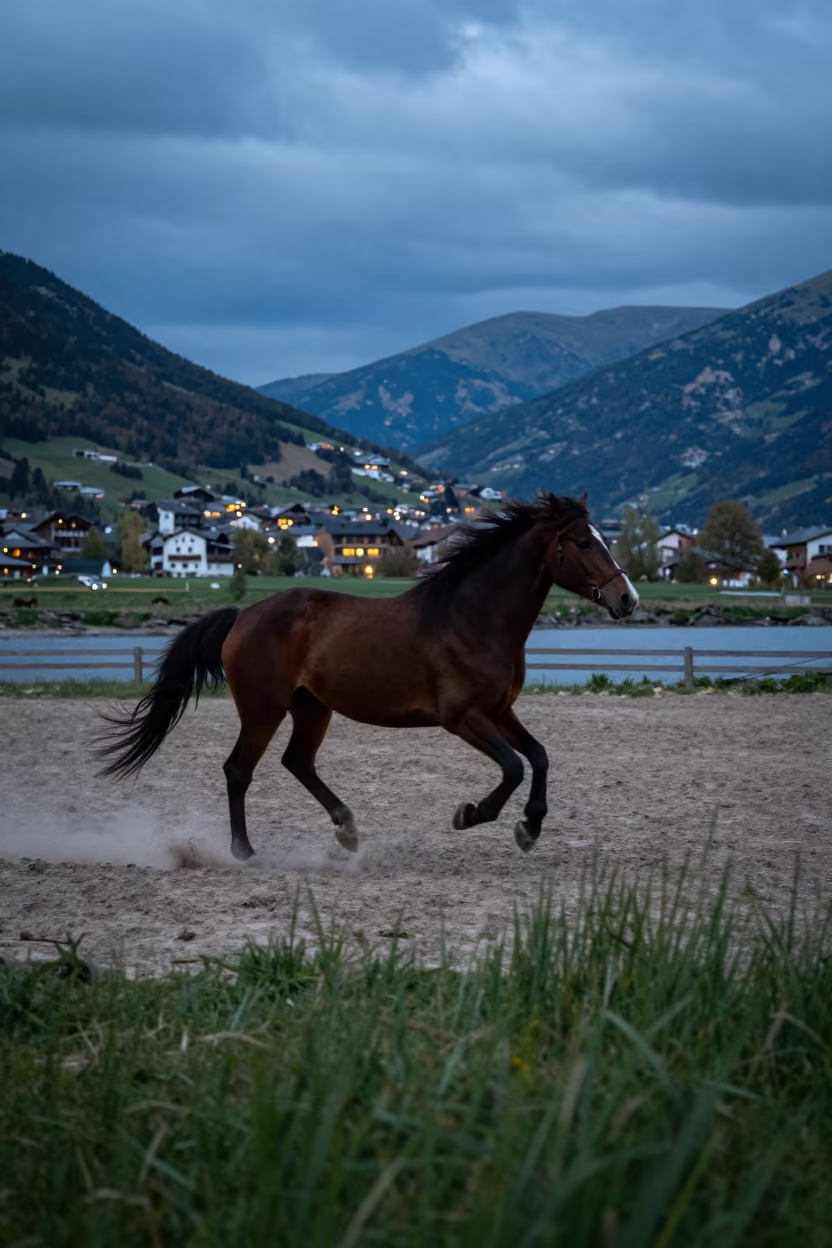 Gallop Dust Blue Hour Andorra Tidal Inlet in beside a tidal inlet in Andorra