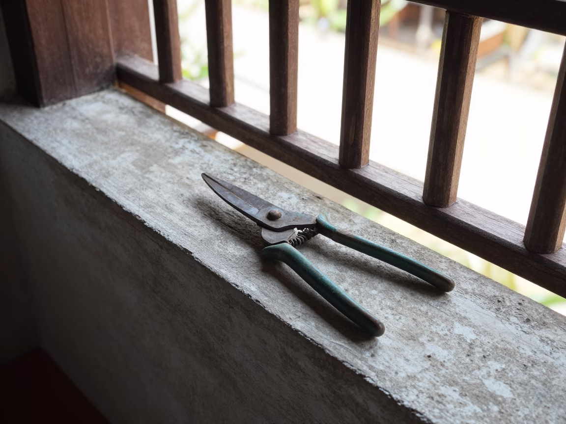 Garden Shears in Chiang Mai in in Chiang Mai, Thailand