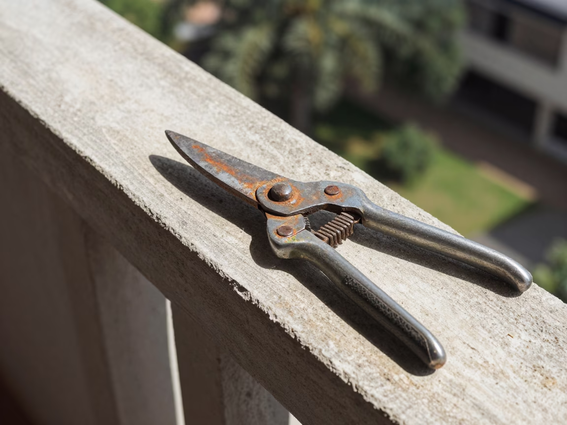 Garden Shears in Durban in in Durban, South Africa