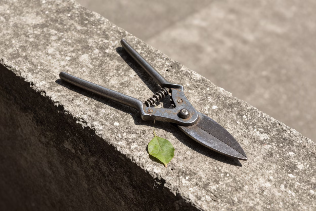 Garden Shears in São Paulo in in São Paulo, Brazil