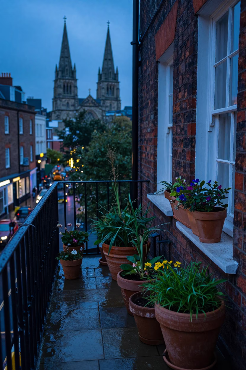 Gardening Setup in Bristol in in Bristol, United Kingdom