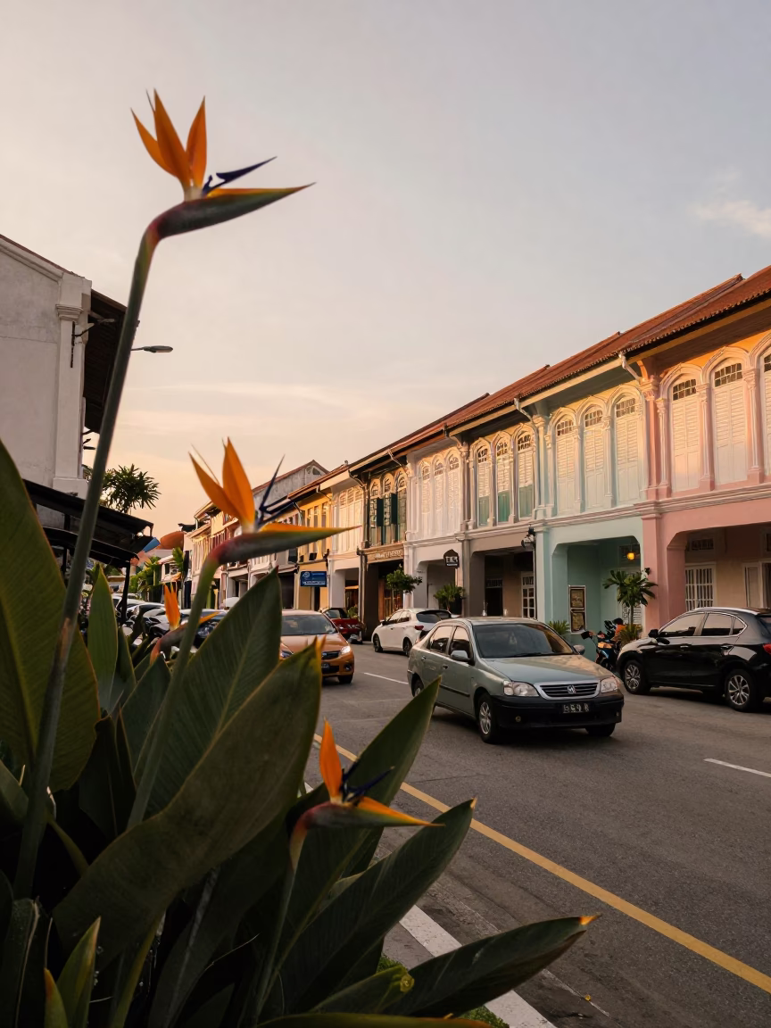 George Town Malaysia Evening Street Scene with Bird of Paradise Flower and Shophouses in in George Town, Malaysia