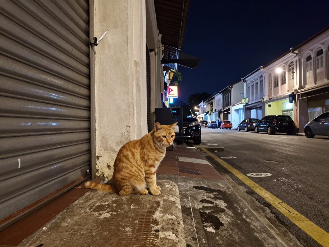 George Town Malaysia night street scene with orange cat and neon signs in in George Town, Malaysia
