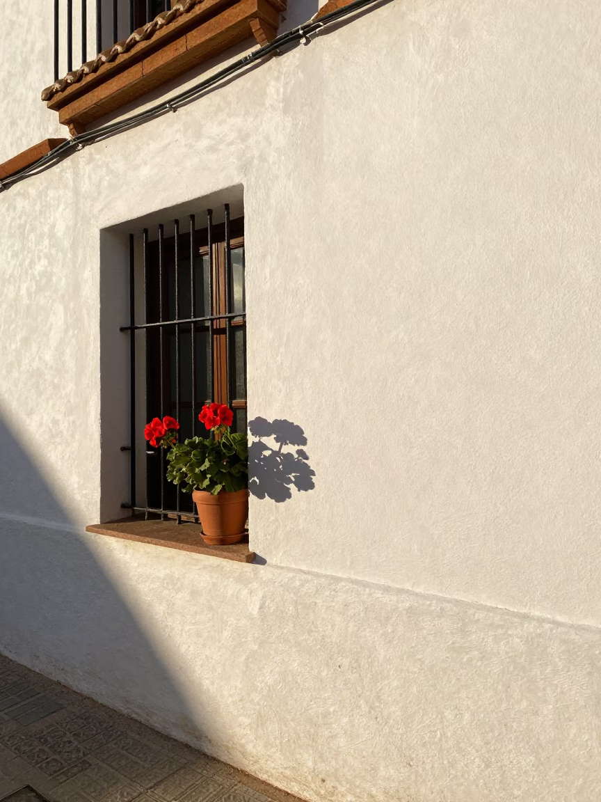 Geranium in Granada at Late Afternoon Light in in Granada, Spain