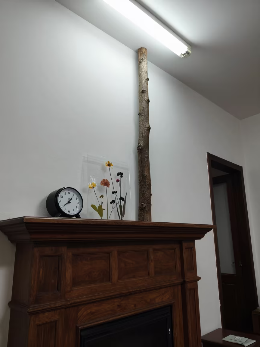 Giant Pressed Flower on Bui Vien Mantel in in a sunlit living room in Bui Vien, Ho Chi Minh City