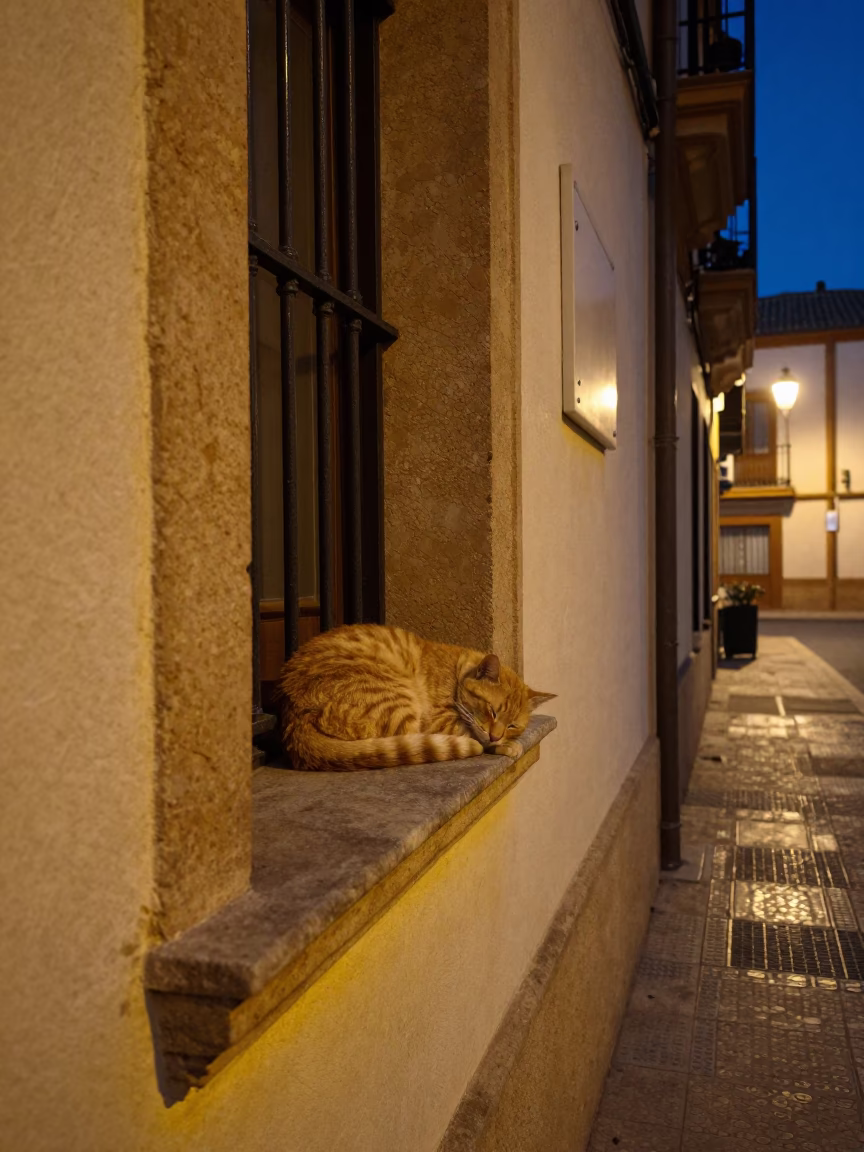 Ginger Cat Sleeping on Latch Outside Seville Building Under City Lights in in Seville, Spain