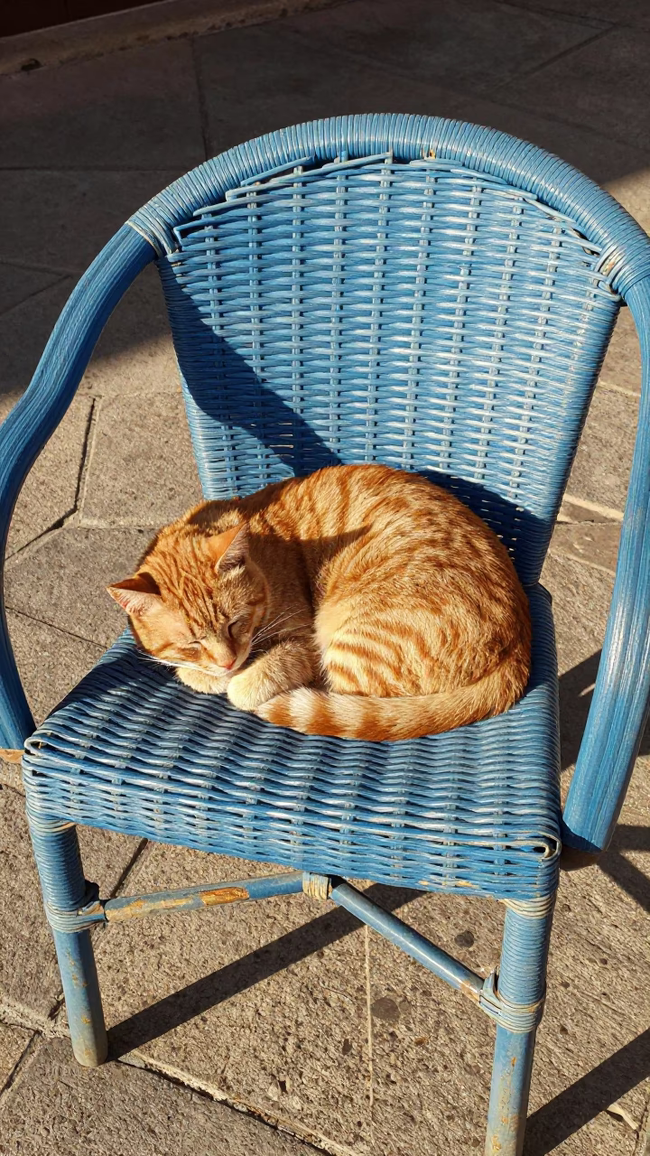 Ginger Cat Sleeping on Wicker Chair in Barcelona Late Afternoon Sunlight in in Barcelona, Spain