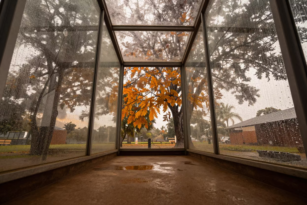 Glass Pavilion Reflecting Autumn Trees in Mombasa in inside a skylit passageway in Mombasa