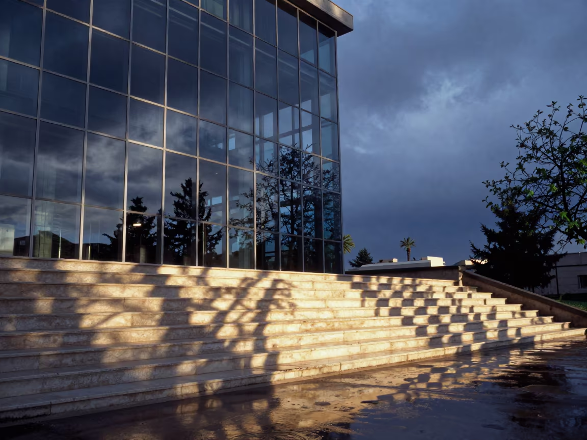 Glass Wall Plane Tree Shadows Blue Hour Syria in at the base of a monumental staircase in Syria