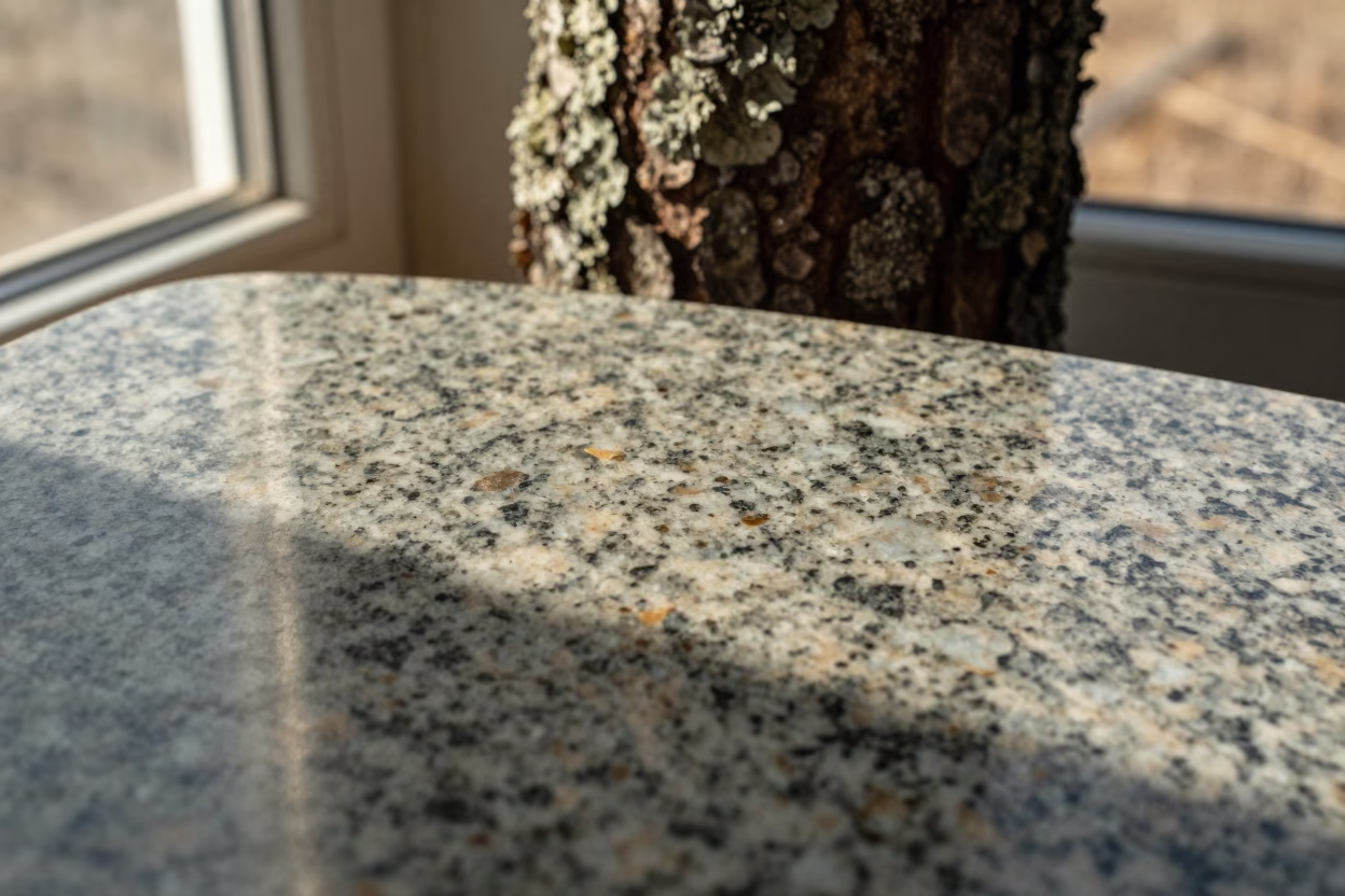 Glittering Mica Flakes in Granite Slab in on lichen-covered bark near Yangon