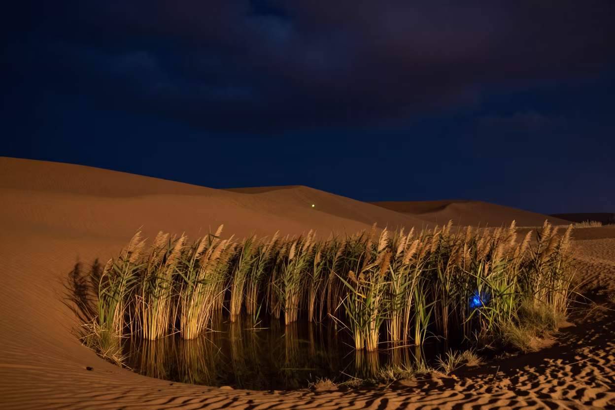 Glowing Firefly Over Desert Pond at Night in beneath a wind-cut desert escarpment near Bishkek