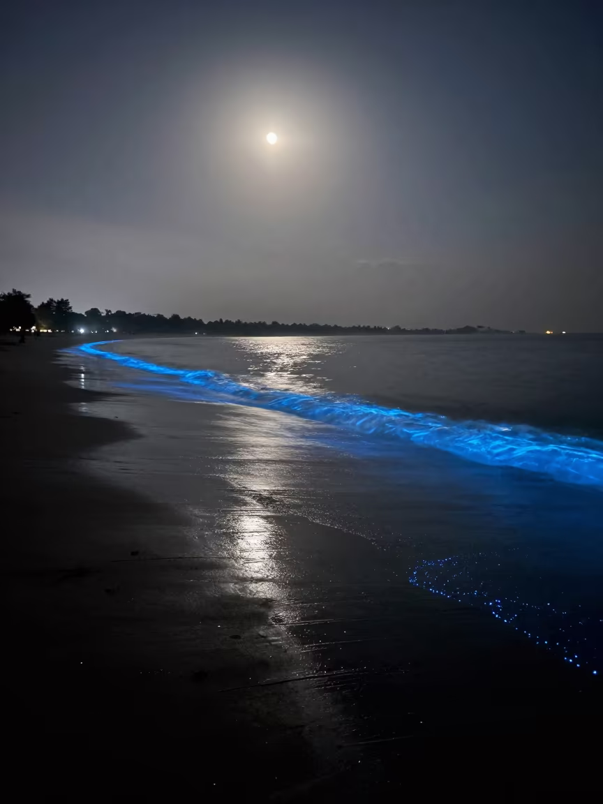 Glowing Plankton in Dark Waves Near Fort Mumbai in near Fort, Mumbai
