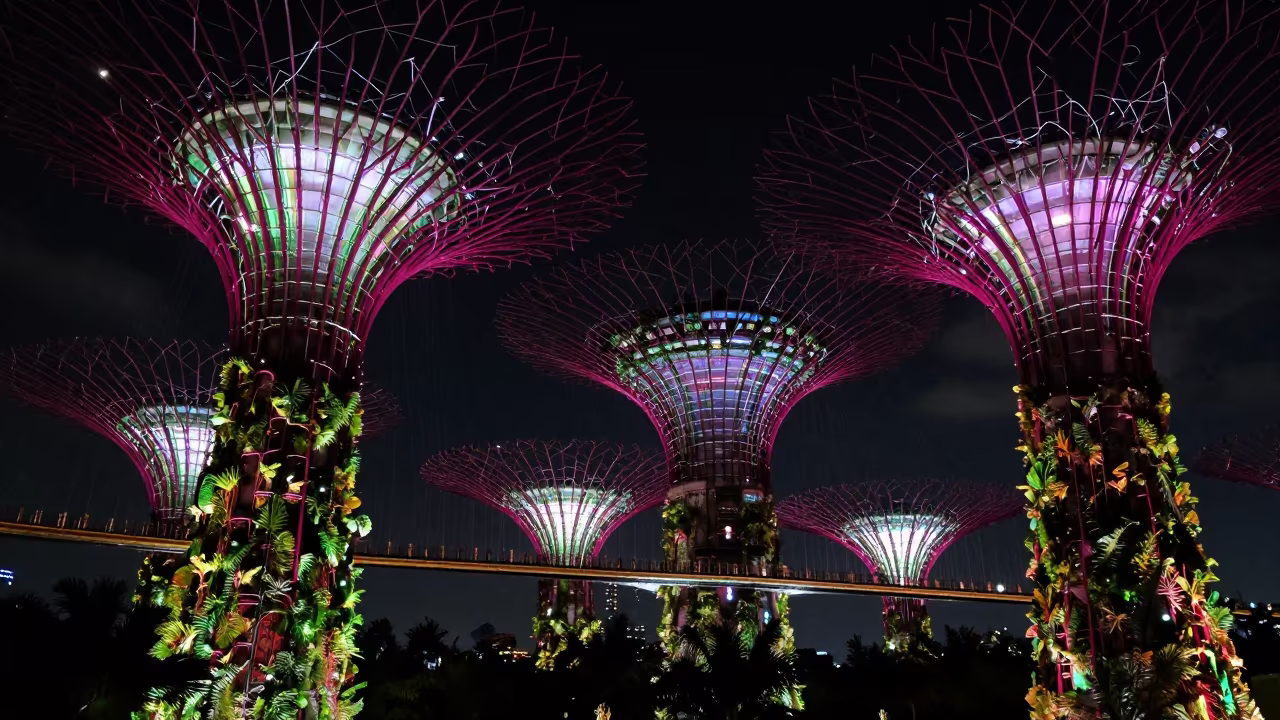 Glowing Supertrees in Night Heat Haze Singapore in in Singapore