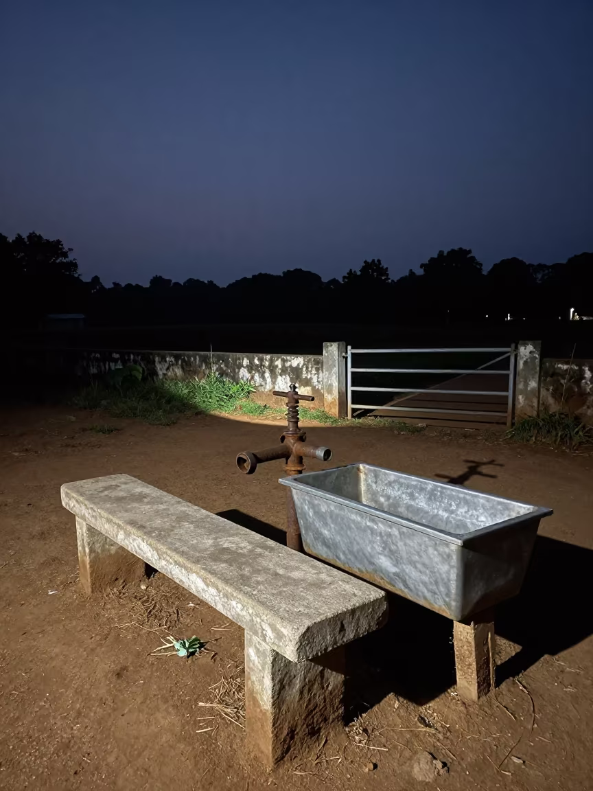 Goa Water Trough Float Valve Bench Night Sweep in beside a pasture gate in Goa