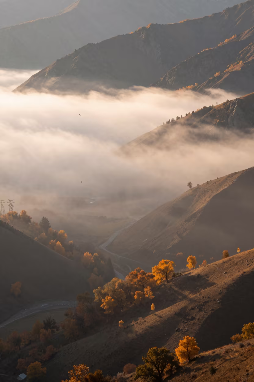 Golden Evening Fog Rolls Through Almaty Valley in near Almaty