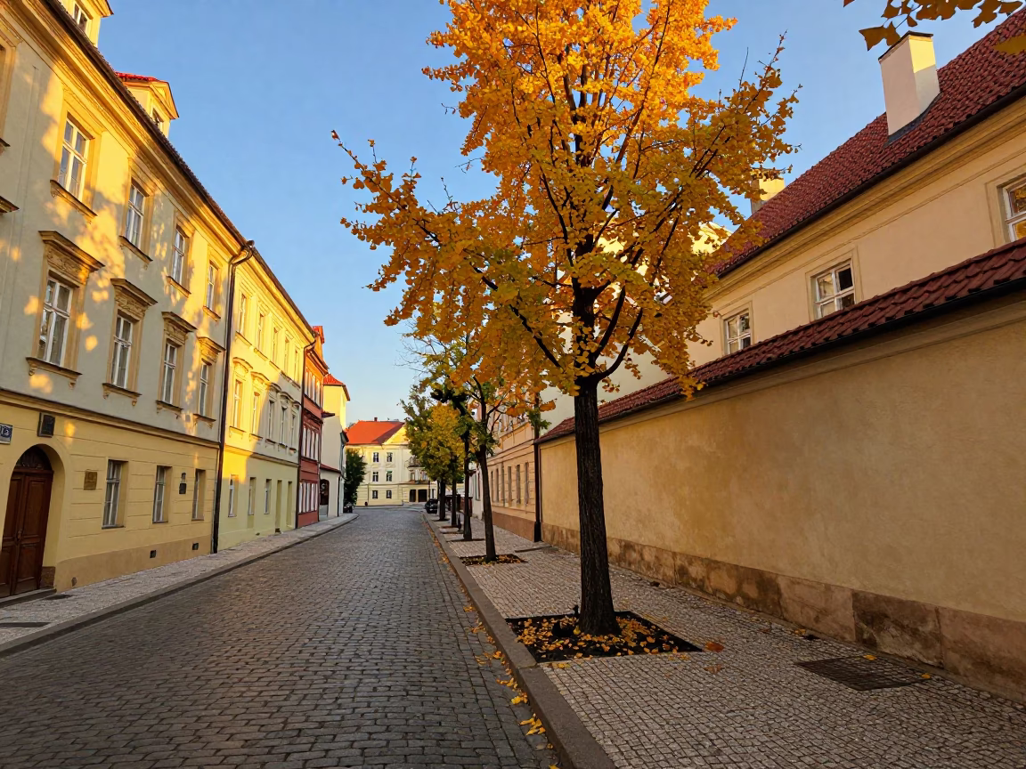 Golden Evening Light Illuminating Prague Street Scene with Falling Ginkgo Leaves and Urban Details in in Prague, Czech Republic