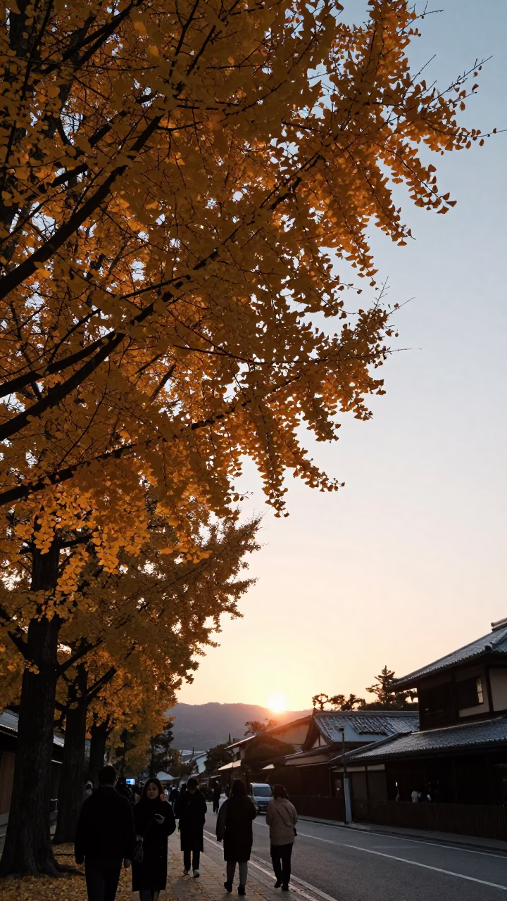 Golden Ginkgo Leaves Falling in Kyoto Japan During Sunset Light in in Kyoto, Japan
