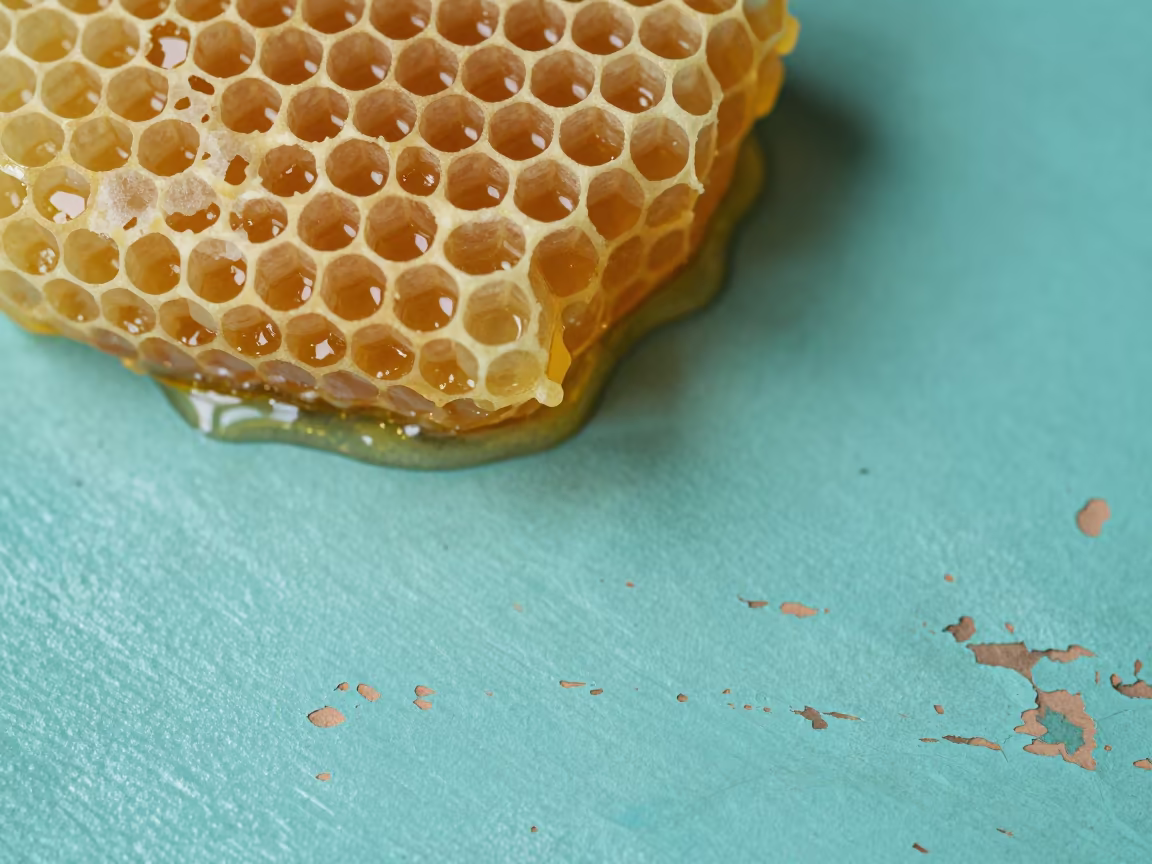 Golden Honey Oozing Turquoise Honeycomb Macro in against weathered turquoise paint in Almere