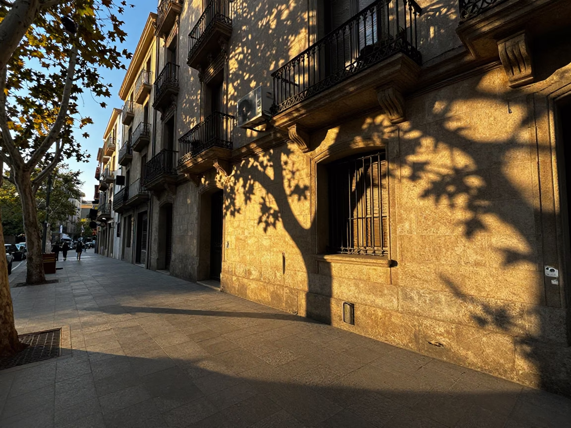 Golden Hour Barcelona Street Scene with Leaf Shadows and Urban Detail in in Barcelona, Spain