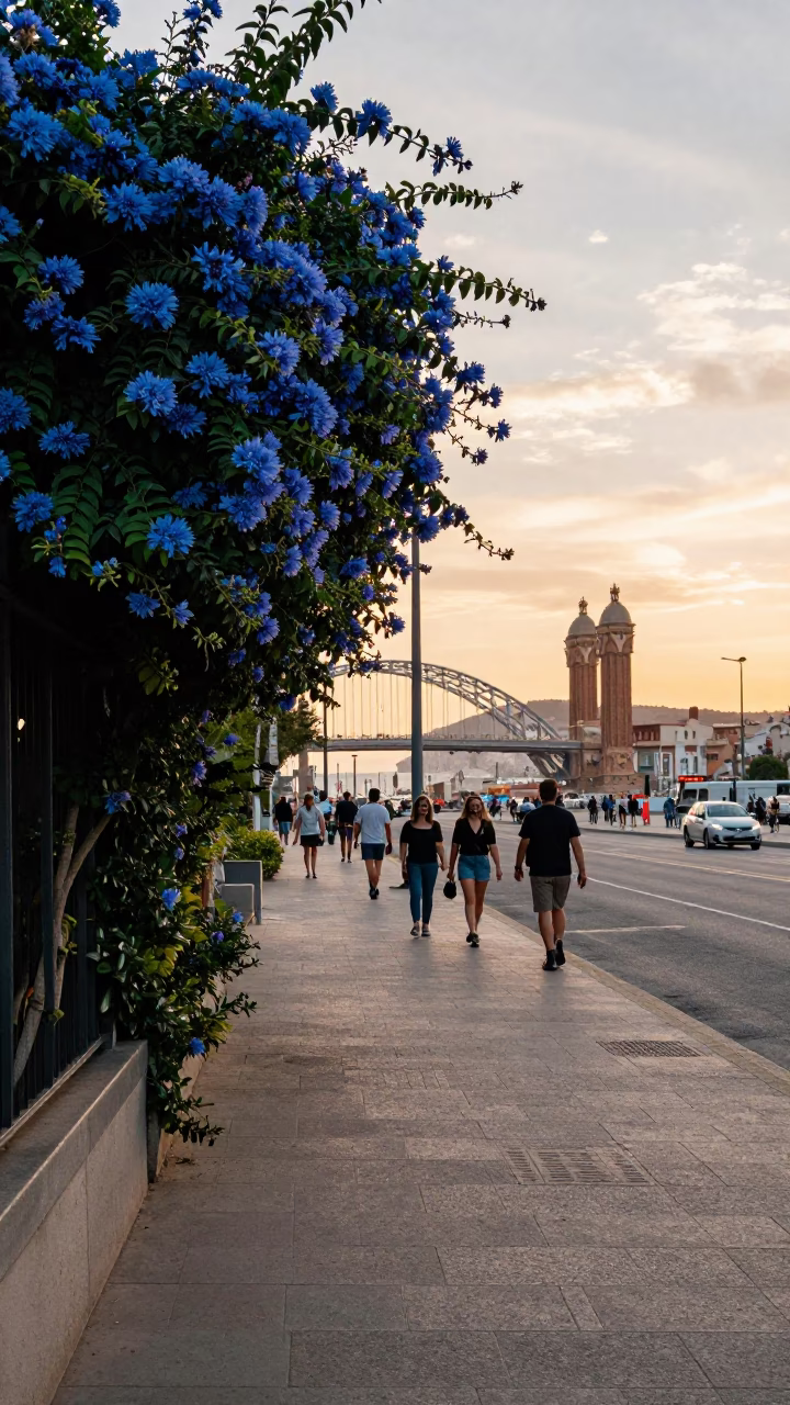 Golden Hour Barcelona Street Scene with Plumbago Hedge and Harbor Bridge in in Barcelona, Spain