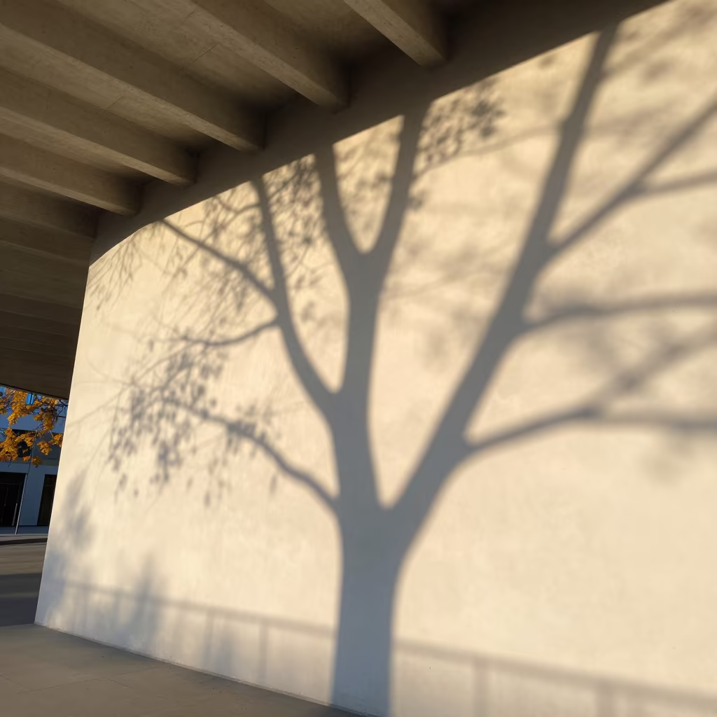 Golden Hour Branch Shadows on Vienna Plaster in inside a ribbed concrete lobby in Wieden, Vienna