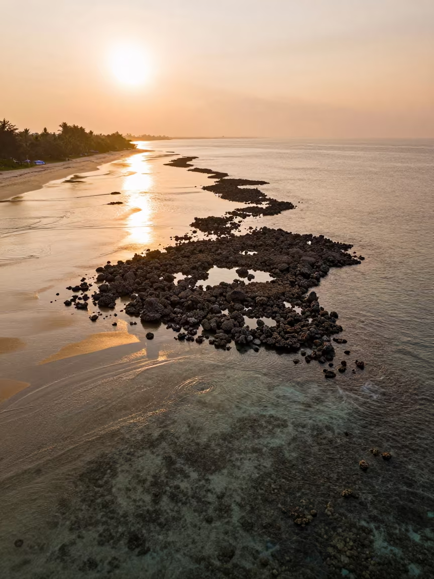Golden Hour Coral Atoll Near Talat Noi Bangkok in near Talat Noi, Bangkok