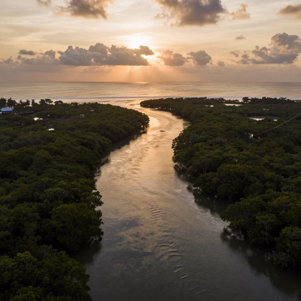 Golden Hour Drone View of Singapore Mangrove Channels in far above surf-scalloped coastline near Boat Quay, Singapore