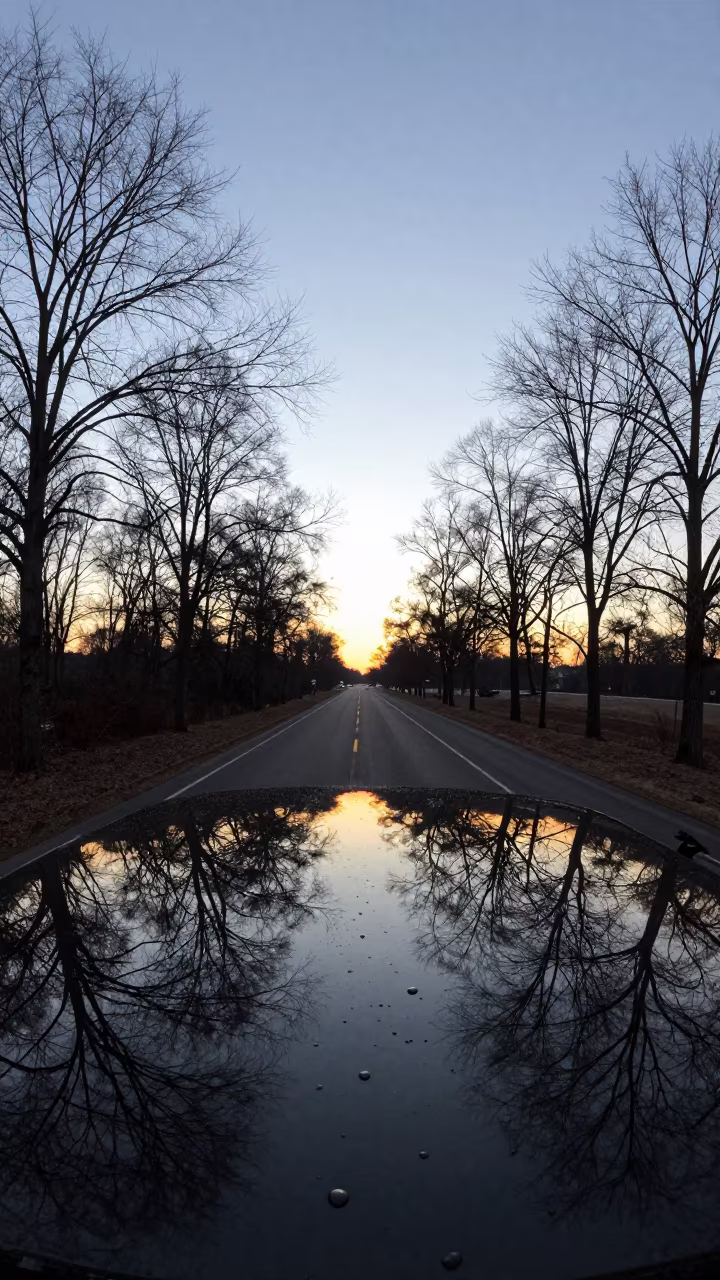 Golden Hour Droplet Reflecting Tennessee Trees in on a wind-open causeway in Tennessee