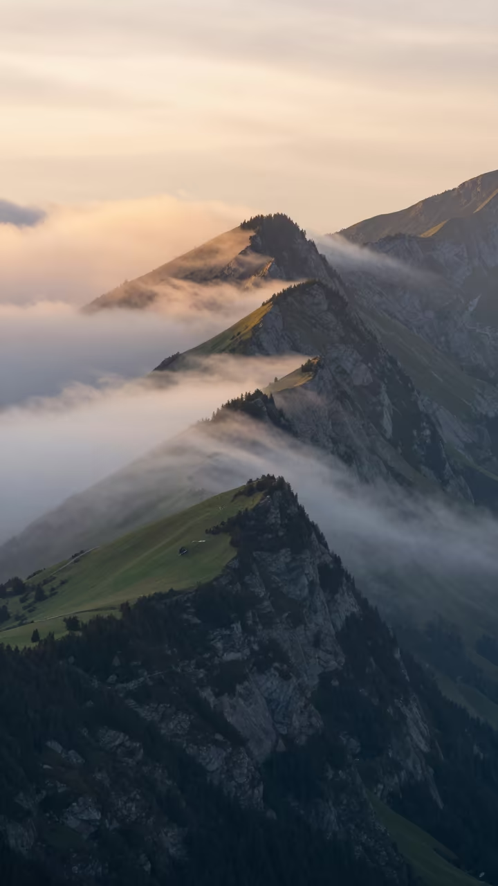 Golden Hour Fog Rolls Up Tyrolean Mountain Slope in in Tyrol