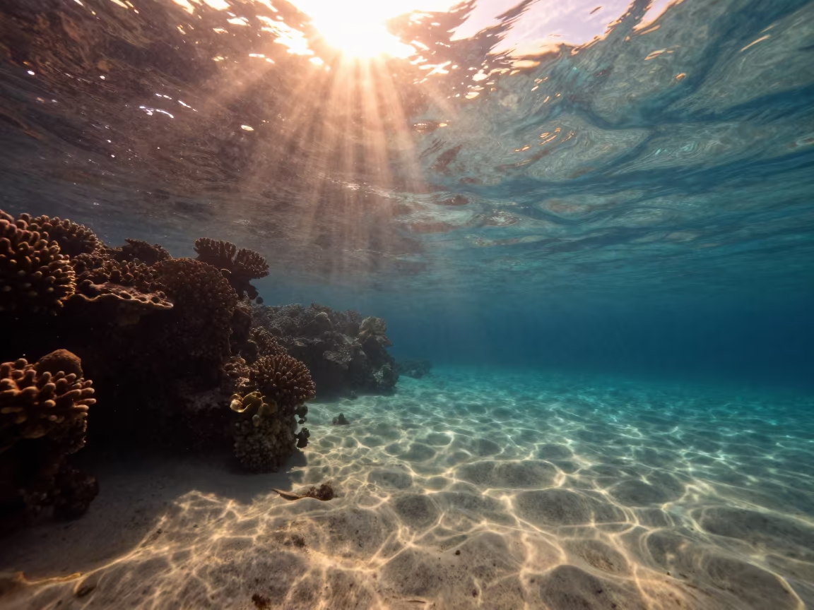 Golden Hour Light Beams Through Coral Reef Cebu in beneath a reef ledge in tropical shallows near Cebu